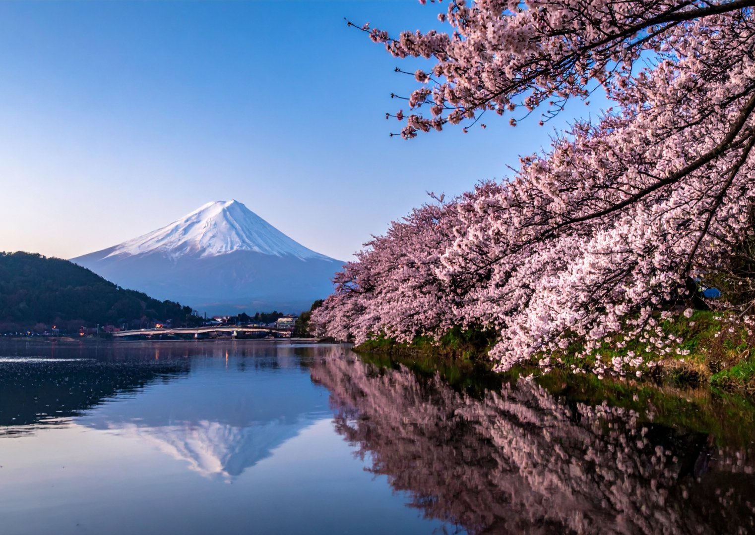 Tokyo + Mt Fuji + Yokohama, Japan