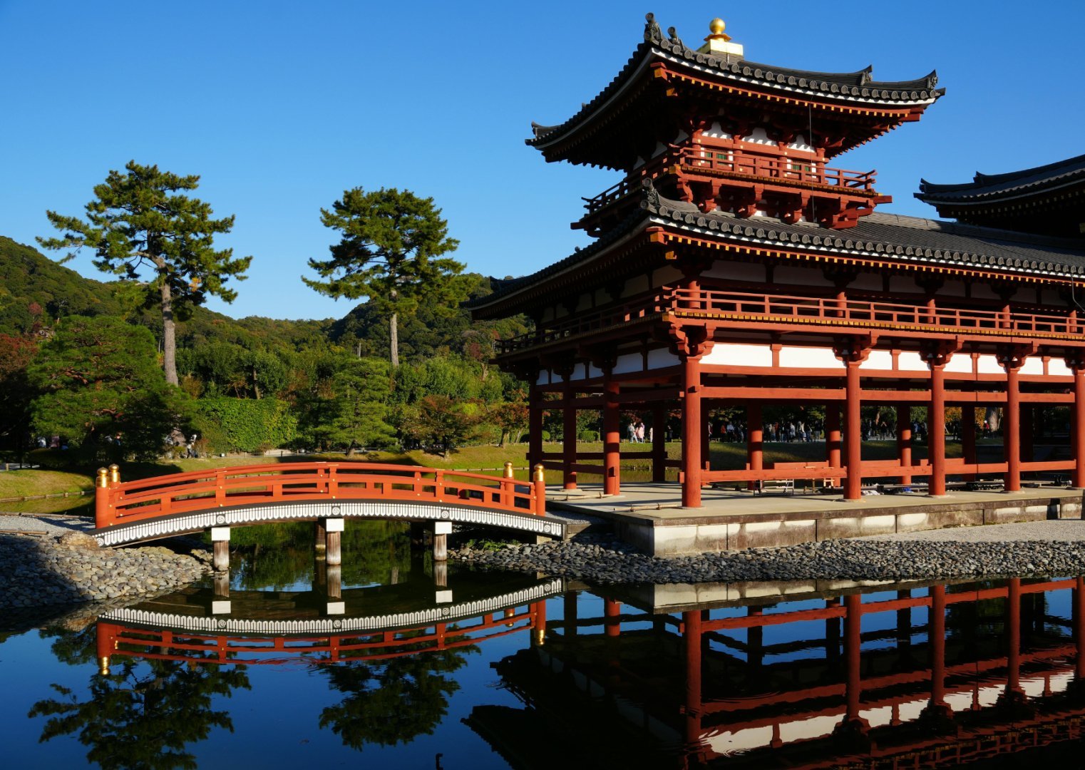 Tokyo + Mt Fuji + Yokohama, Japan