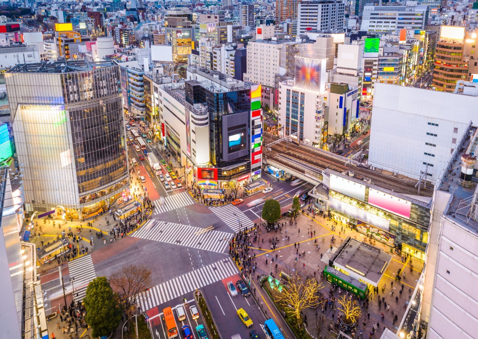 Tokyo + Mt Fuji + Yokohama, Japan