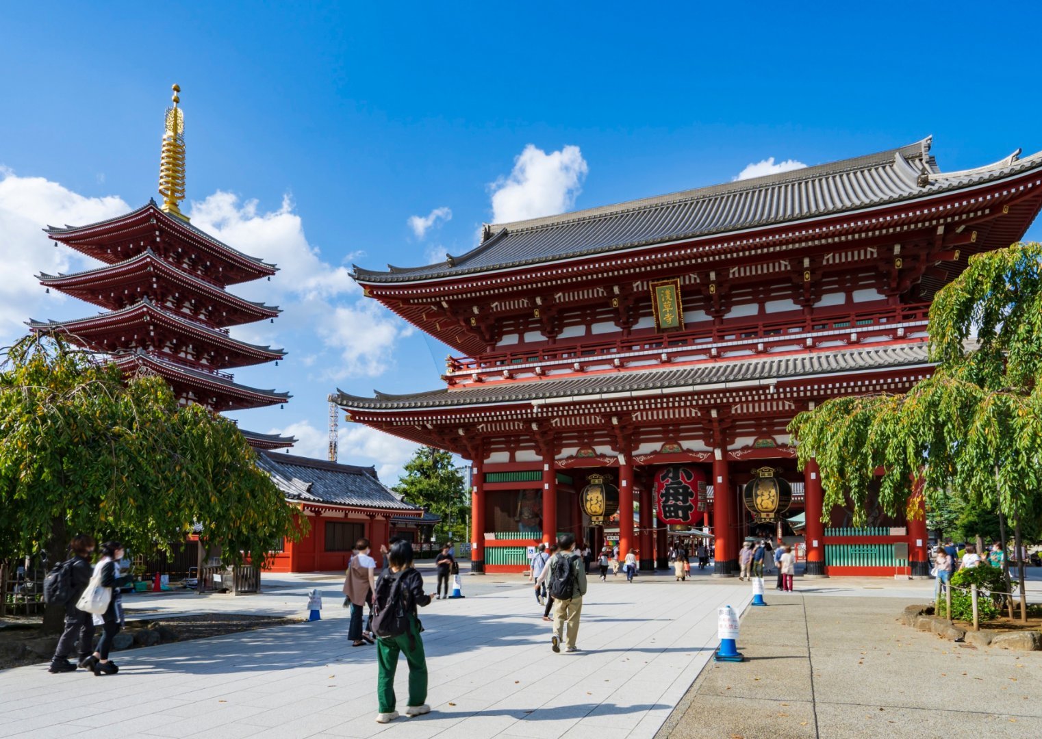 Tokyo + Mt Fuji + Yokohama, Japan