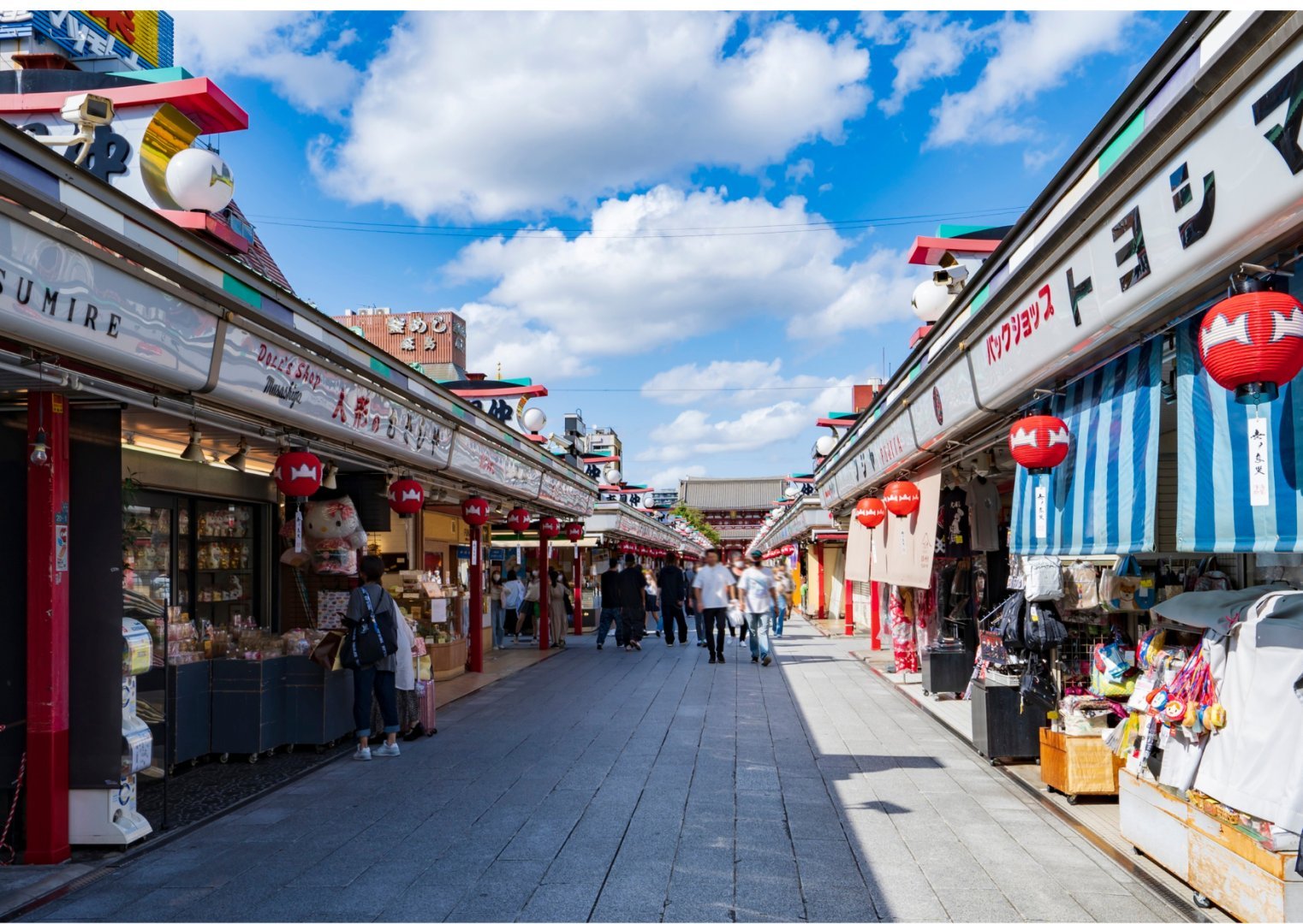 Tokyo + Mt Fuji + Yokohama, Japan