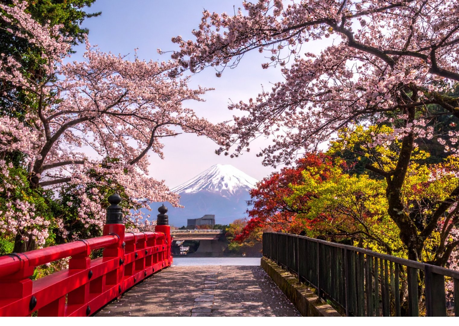 Tokyo + Mt Fuji + Yokohama, Japan