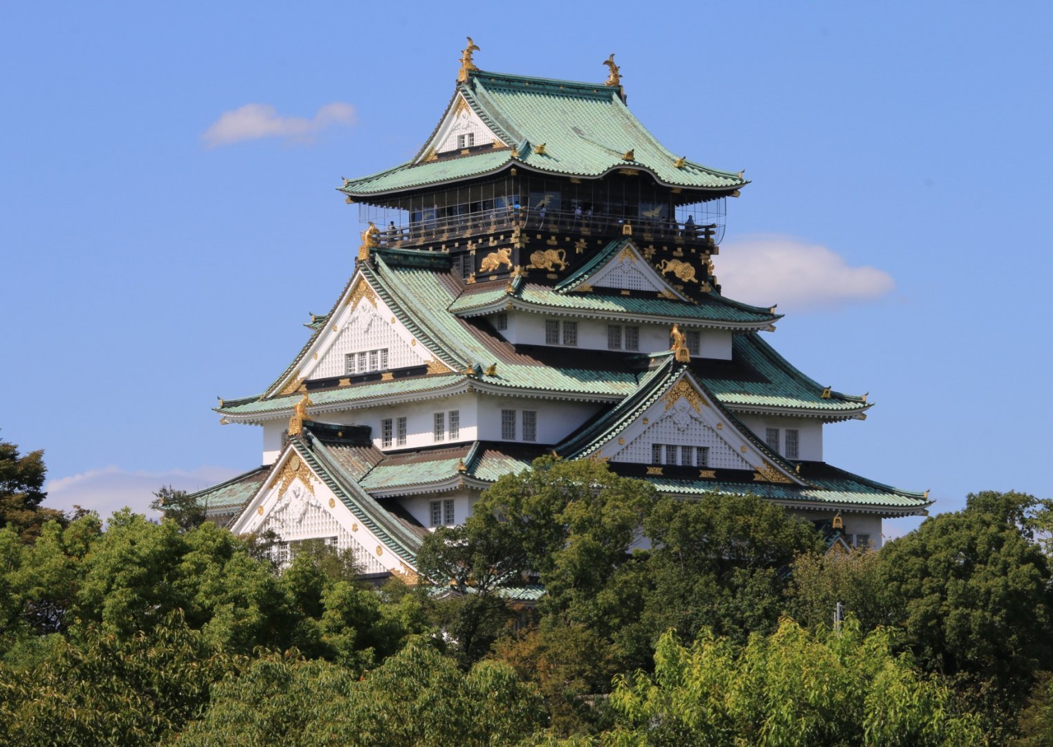 Tokyo + Mt.Fuji + Osaka, Japan